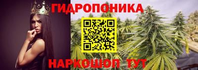 эйфоретик Новокубанск
