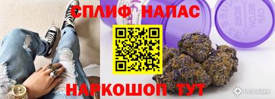 эйфоретик Новокубанск