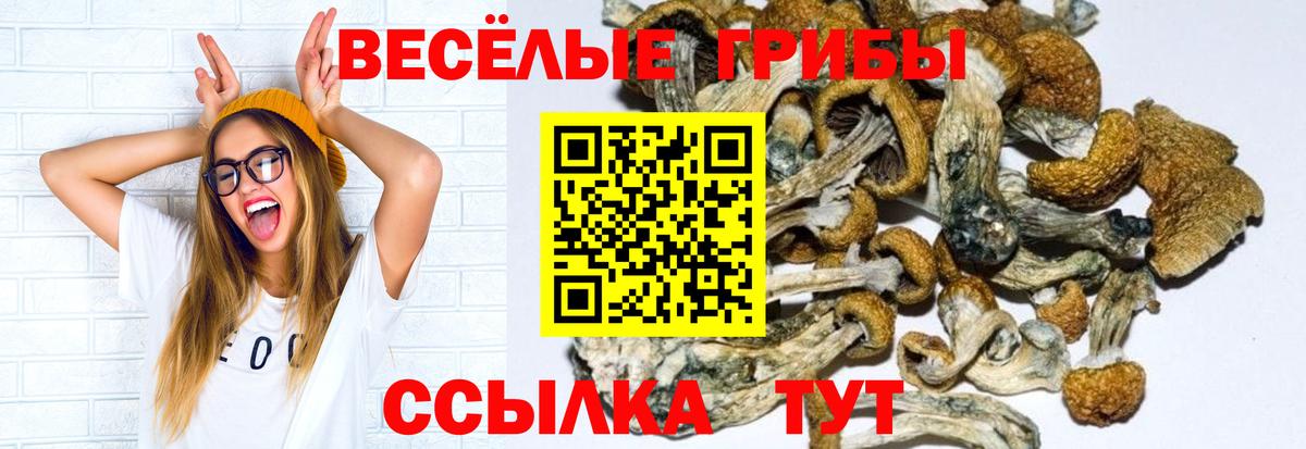 Псилоцибиновые грибы ЛСД  Вход с VPN  Сургут 
