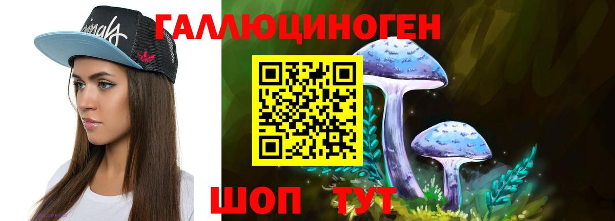 Галлюциногенные грибы Psilocybine cubensis Сургут